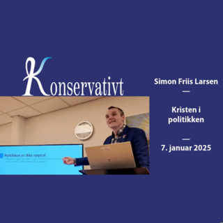 Kristen i politikken