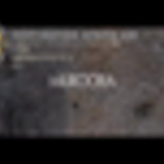 K-FAKTA - Destination Africa Vol.10