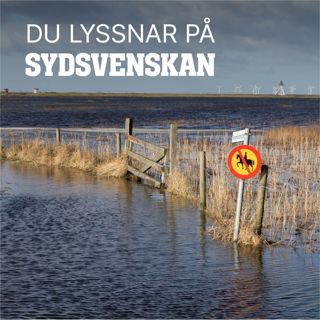 Så ska vallar skydda Näset mot översvämning