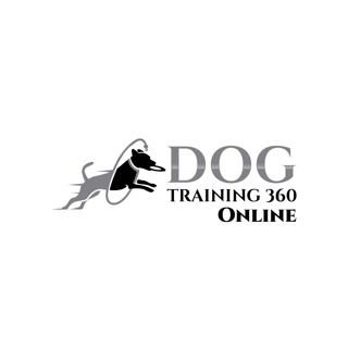 Dogs Connecting Women. Our Story