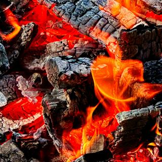 #140 — Burning Down the Fourth Estate