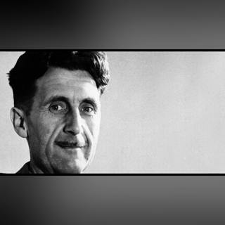 Language, Thought, and Politics