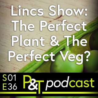 Lincolnshire Show, Have we found the Perfect Plant? Plus a recipe with, maybe, the Perfect Veg too!