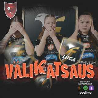 F-liigan välikatsaus