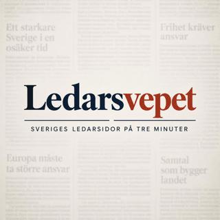 rss-ledarsvepet
