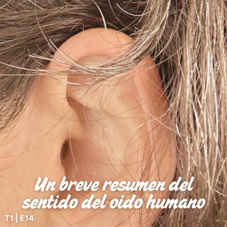 T1 I E14 Un breve resumen del sentido del oido humano