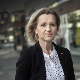 Boel Godner (S) - är Södertälje en förebild?