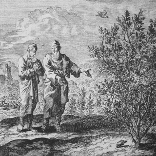 Faith, Hope and Love. Hear what St. Paul and Jesus Says About Hope