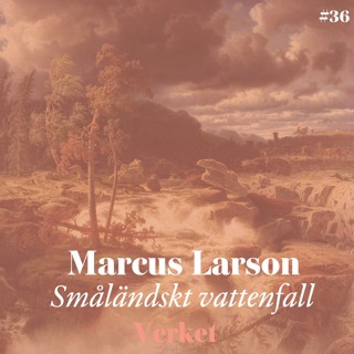 #36 Småländskt vattenfall (1856)
