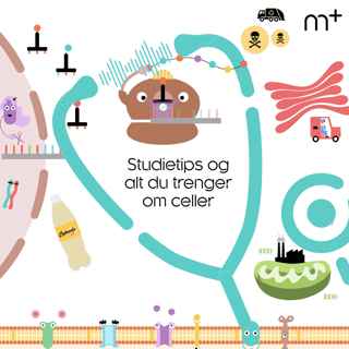 Studietips og alt du trenger om celler
