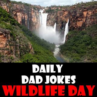 National Wildlife Day! 56 nature inspired dad jokes! 04 September 2025
