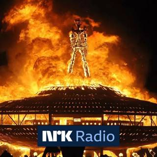 Kaos-festivalen i ørkenen