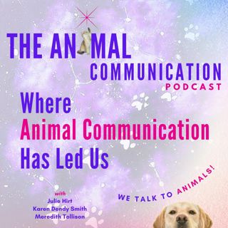 Where Animal Communication Has Led Us