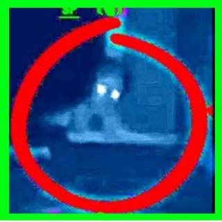 Alien Abductions and Terrifying Alien Encounters True Stories
