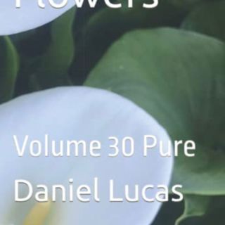 Spring Flowers Volume 30 Pure by Daniel Lucas