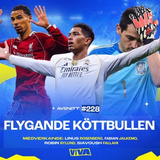 #228 Flygande köttbullen