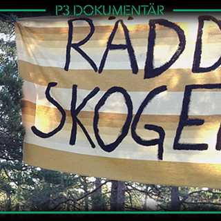 Striden om Ojnareskogen