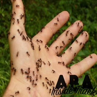 Episode 192 - Anxiety Assessment w/ Dr. Keira Moore