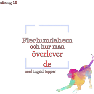 Flerhundshem och hur man överlever de