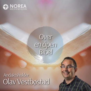 E2511 -5-Olav Vestbøstad - Jesus vekkjer opp Lasarus (Joh 11,1-44)
