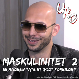 20 Maskulinitet del 2: Andrew Tate