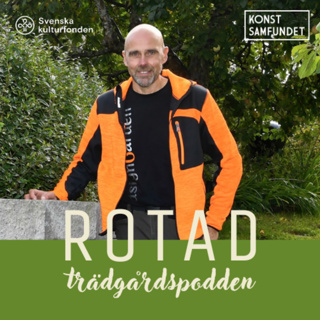 Att designa en trädgård