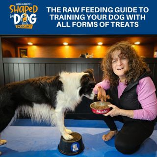 The Raw Feeding Guide To Training Your Dog With All Forms Of Treats #252