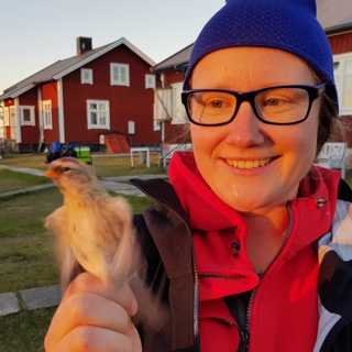 Fågelhöst på Stora Fjäderägg och ovanliga fiskar utanför Lysekil