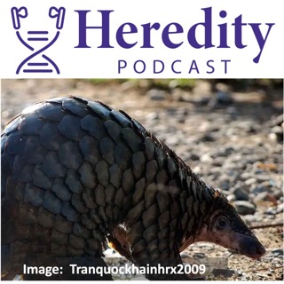 Pangolin popgen & the illegal wildlife trade