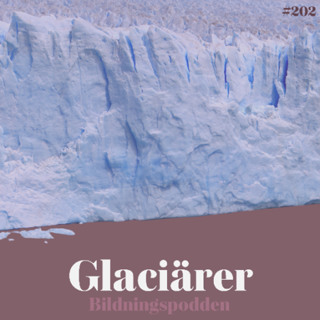 #202 Glaciärer