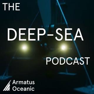 Antarctic ice-seabed interactions