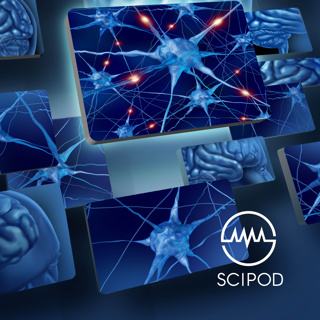 Lifting Brain Fog - Professor Etienne Sibille and Professor James Cook