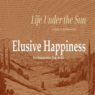 Elusive Happiness. Eccelesiates 5:8 – 6:12