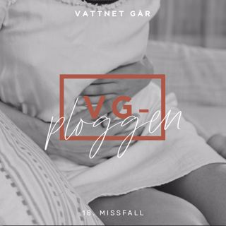 113. VG-ploggen, Om Missfall