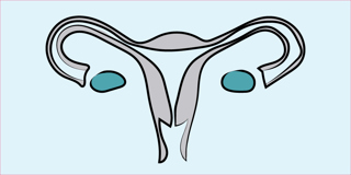 49. Trauma in Pregnancy