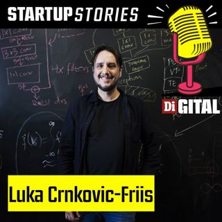 Luka Crnkovic-Friis, Peltarion