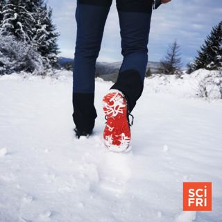 Scientists Predict Loss Of Deep Snow In Most Of U.S.