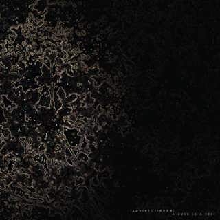 A Duck in a Tree 2026-07-04 | The Codes of Silence