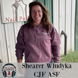 Shearer Wludyka CJF ASF