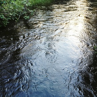 Jakso 24: Vesi