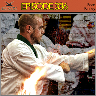 Episode 336 - Sean Kinney