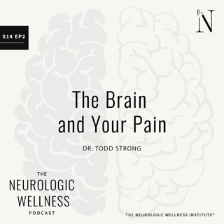 The Brain and Your Pain