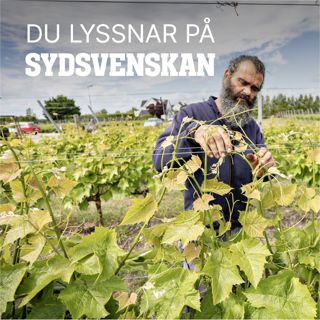 Kommer gårdsförsäljning göra Skåne till en vindestination?