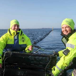 Invasiva ostron – kan problemet bli en resurs?