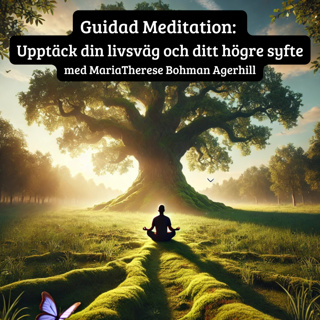 Guidad Meditation: Upptäck din livsväg och ditt högre syfte med MariaTherese Bohman Agerhill