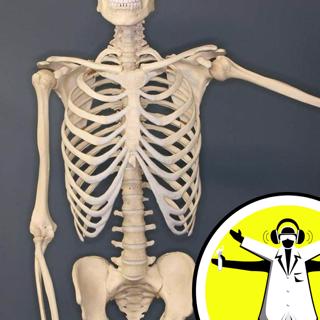 Boosting Your Bones