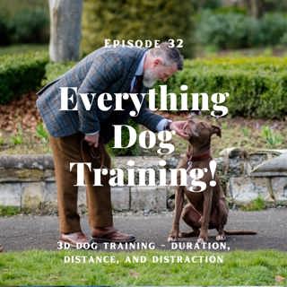 Episode 32 - 3D Dog training - duration, distance, and distraction