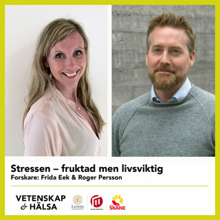 Stressen – fruktad men livsviktig