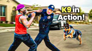 Top Police K9 Takedowns & Captures Caught on Bodycam