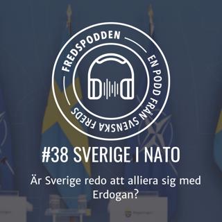 #38 - Sverige i Nato - Är Sverige redo att alliera sig med Erdogan?